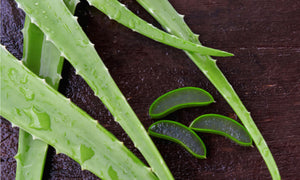 aloe-vera-for-beard-on-table
