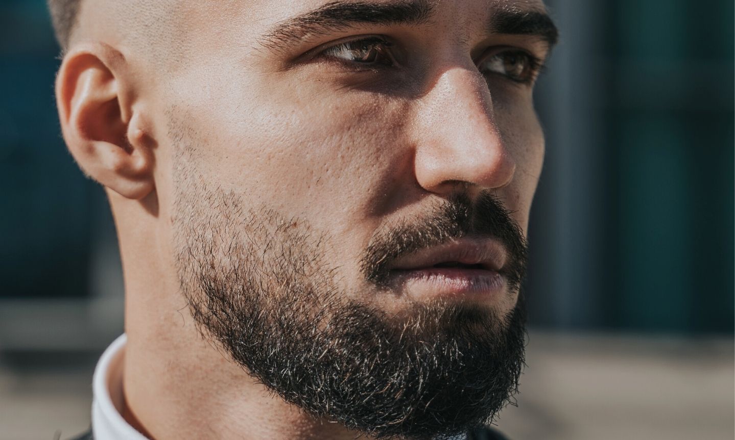 short-beard-styles