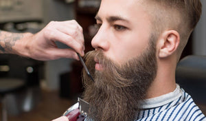 how-to-train-mustache